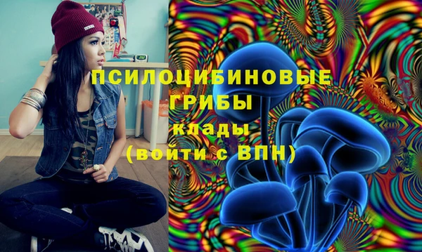 мдма Тихвин