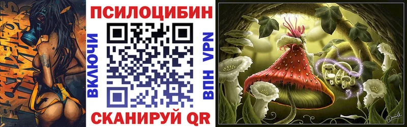 Псилоцибиновые грибы GOLDEN TEACHER  купить наркотики сайты  Котельнич 
