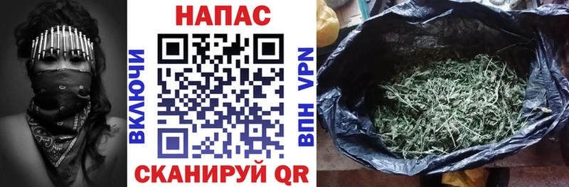 наркошоп  Котельнич  МАРИХУАНА планчик 